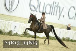 24R13_14815 thumbnail