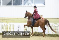 24R13_14816 thumbnail