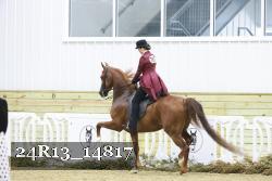 24R13_14817 thumbnail