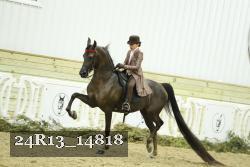 24R13_14818 thumbnail