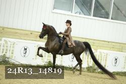 24R13_14819 thumbnail