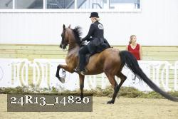 24R13_14820 thumbnail