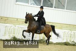 24R13_14821 thumbnail