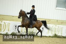 24R13_14822 thumbnail