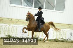 24R13_14823 thumbnail