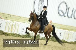 24R13_14824 thumbnail