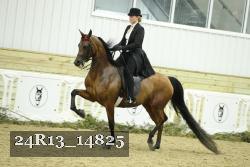 24R13_14825 thumbnail