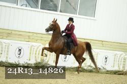 24R13_14826 thumbnail