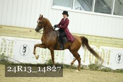 24R13_14827 thumbnail