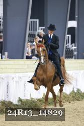 24R13_14829 thumbnail