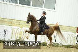 24R13_14830 thumbnail