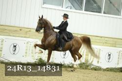 24R13_14831 thumbnail