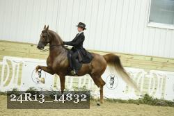 24R13_14832 thumbnail