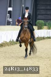 24R13_14833 thumbnail