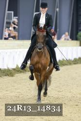 24R13_14834 thumbnail