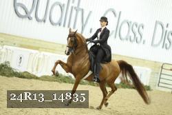 24R13_14835 thumbnail