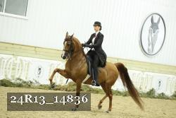 24R13_14836 thumbnail