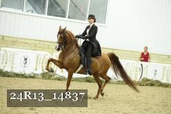 24R13_14837 thumbnail