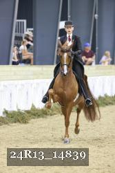 24R13_14839 thumbnail