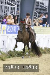 24R13_14843 thumbnail