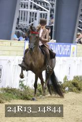 24R13_14844 thumbnail
