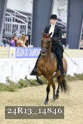 24R13_14846 thumbnail