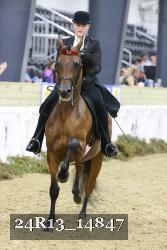 24R13_14847 thumbnail