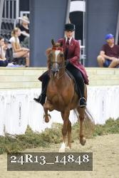 24R13_14848 thumbnail