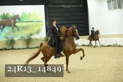 24R13_14849 thumbnail