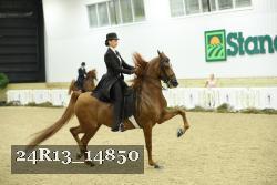 24R13_14850 thumbnail
