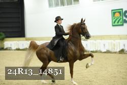 24R13_14851 thumbnail