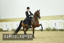24R13_14852 thumbnail