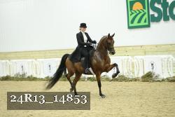 24R13_14853 thumbnail