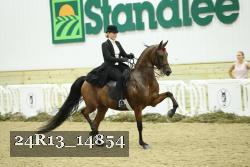 24R13_14854 thumbnail