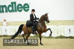 24R13_14855 thumbnail