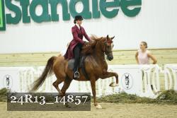 24R13_14857 thumbnail