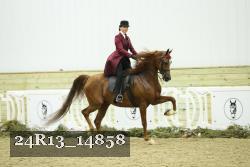 24R13_14858 thumbnail