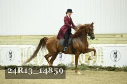24R13_14859 thumbnail