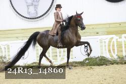 24R13_14860 thumbnail
