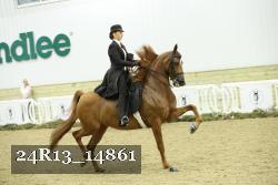 24R13_14861 thumbnail