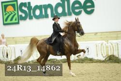 24R13_14862 thumbnail