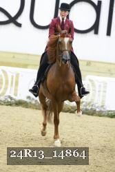 24R13_14864 thumbnail