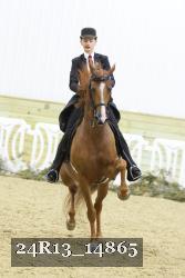 24R13_14865 thumbnail