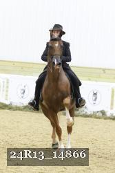 24R13_14866 thumbnail