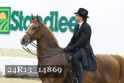 24R13_14869 thumbnail