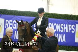24R13_14871 thumbnail