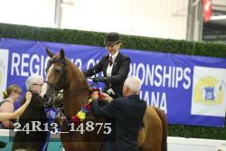 24R13_14875 thumbnail