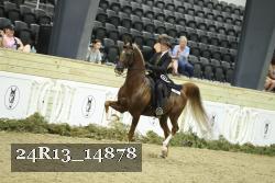 24R13_14878 thumbnail
