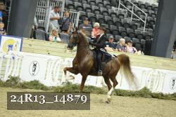 24R13_14879 thumbnail