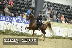 24R13_14880 thumbnail